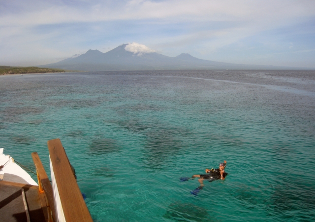 menjangan-eiland-duiker