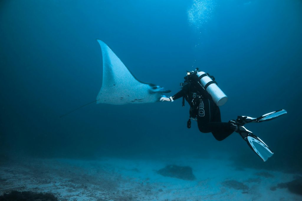 diver-in-bali