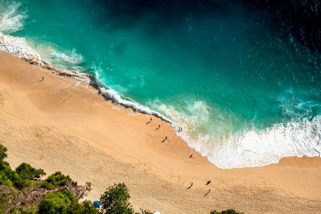 koral-ocean-Bali